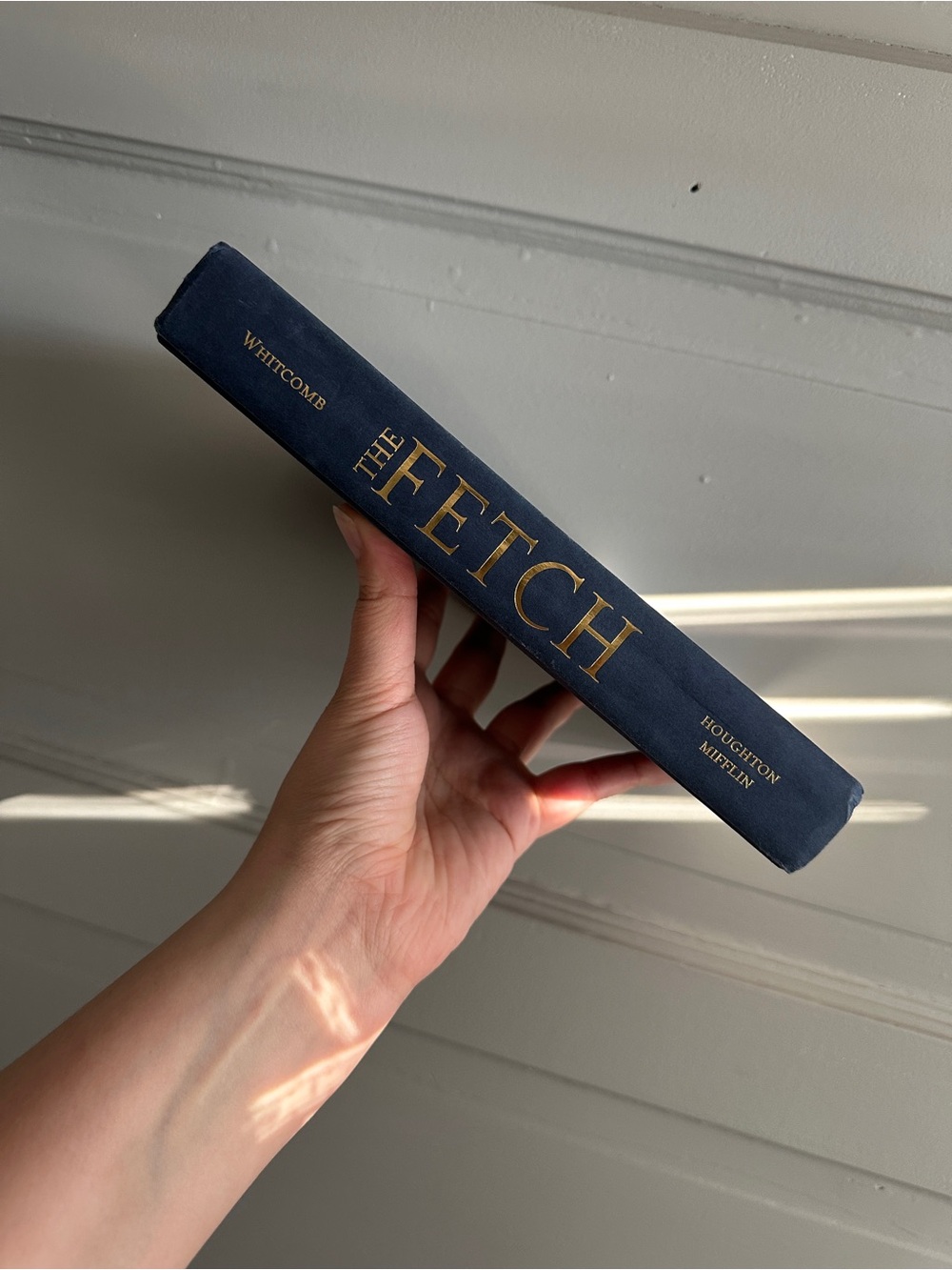The Fetch by Laura Whitcomb